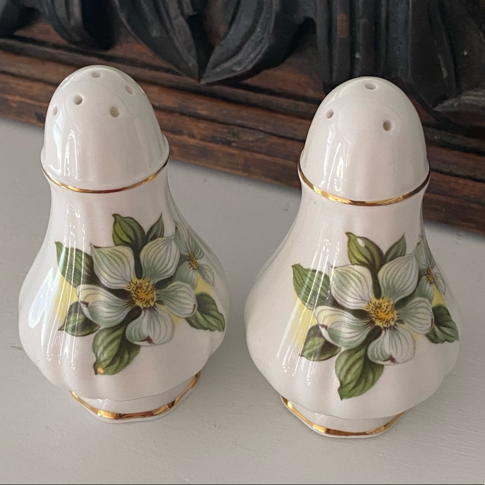 Vintage PARAGON FINE BONE CHINA  SALT & PEPPER SHAKERS (Made in England)